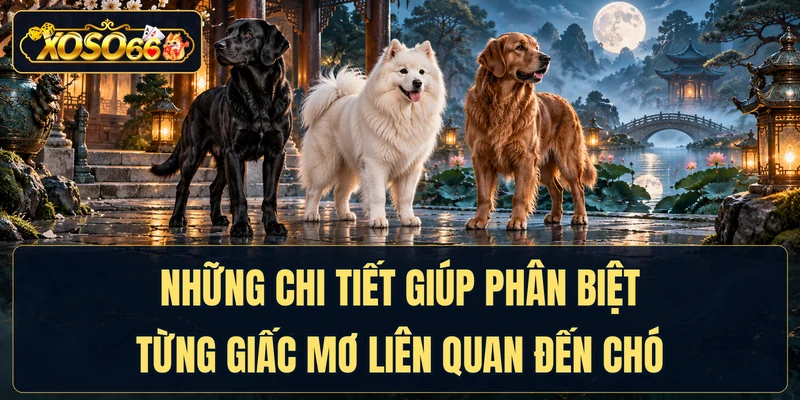 Những chi tiết giúp phân biệt từng giấc mơ liên quan đến chó
